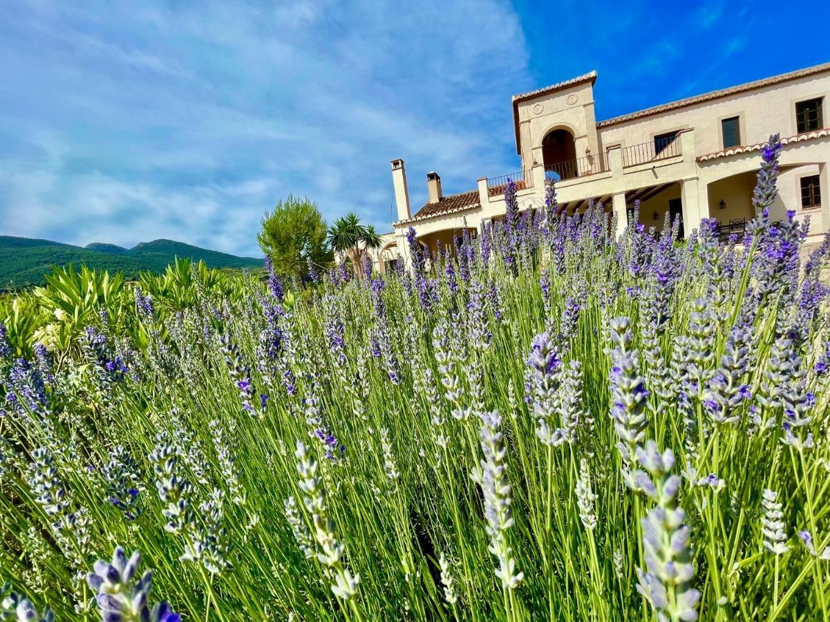 La Esperanza Granada Luxury Hacienda&Private Villa Saleres Exterior foto